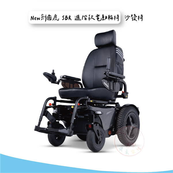 New 劍齒虎 沙發椅_工作區域 1.png